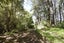 13 Okuti Valley Road, LITTLE RIVER, Little River - Carousel 34