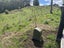 10 Faiping Road, Rukuhia , Waipa, Waikato - Carousel 5
