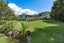 8 Shoebridge Crescent, Whangarei - Carousel 21
