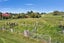 578 Norsewood Ormondville Road, Ormondville, Ormondville - Carousel 1