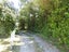 63 Stewart Street, Ross - Carousel 9
