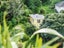 58C Norway St, Aro Valley, Wellington - Carousel 1
