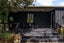 323 Hautapu Road, Cambridge - Carousel 6