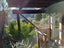 3 Mayroyd Terrace, Nelson, Nelson - Carousel 7