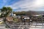 164 Main South Road, Green Island, Dunedin - Carousel 19