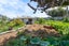 61 Britannia Street, North New Brighton, Christchurch - Carousel 16