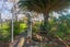 319 East Takaka Road, East Takaka - Carousel 21