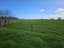 0 Unahi Road, Awanui, Far North, Northland - Carousel 5