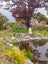 102 Albert Street, Gladstone, Invercargill, Southland - Carousel 41