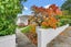38 Albany Street, Gore, Gore - Carousel 12