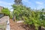 79 Ruakaka Beach Road, Ruakaka - Carousel 33