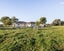 296 Piako Road, Gordonton, Hamilton - Carousel 34