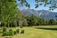 5045 State Highway 63, Wairau Valley, Blenheim - Carousel 47