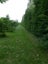 615 Pesters Road, West Eyreton, West Eyreton - Carousel 14
