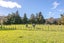 315A Woollams Avenue, Coromandel, Coromandel - Carousel 12