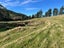 0 East Takaka Road, East Takaka, Takaka - Carousel 13