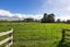 870 Pirongia Road, Pirongia, Pirongia - Carousel 20