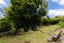 7 Seaton Road, Portobello, Dunedin - Carousel 19