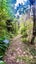 1695 Wyuna Bay Road, Wyuna Bay, Coromandel - Carousel 41