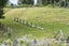 37 Jacks Lane, Oropi, Western Bay Of Plenty, Bay Of Plenty - Carousel 20