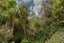 3 McConnell Lane, Chartwell, Hamilton - Carousel 15
