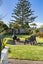 62 Third View Avenue, Beachlands, Auckland - Carousel 13