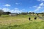 63 Mangaorongo Road, Otorohanga, Otorohanga - Carousel 25