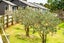 310 Cames Road, Wellsford - Carousel 28