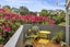 44 Littlebourne Road, Roslyn, Dunedin - Carousel 6