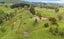 412 Rongoiti Road, Taihape - Carousel 25
