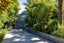 2 Hill Road, Palm Beach, Waiheke Island - Carousel 6