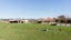 610 State Highway 25, Thames - Carousel 2