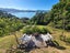 1999 Wyuna Bay Road, Wyuna Bay, Coromandel - Carousel 22