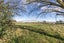 1671 Tikokino Road, Tikokino - Carousel 4