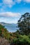 22 Wharfdale Street, Macandrew Bay, Dunedin - Carousel 33