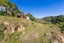 74 Curtis Street, Northland, Wellington - Carousel 13