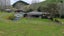 517 Pikowai Road, Pikowai, Whakatane - Carousel 22