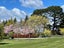 174 Loop Line, Opaki, Masterton - Carousel 4