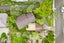 28 Victoria Street, Warkworth, Warkworth - Carousel 3