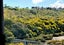 204/1 Purewa Road, Meadowbank, Auckland - Carousel 17