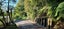 102 Kuku East Road, Levin - Carousel 30