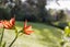 1135 Scenic Drive North, Swanson, Auckland - Carousel 34