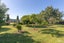 231 Belvedere Road, Carterton, Carterton - Carousel 41
