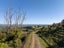 90 Tirohanga Road, Maungatautari, Cambridge - Carousel 9