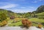 1366 Hukerenui Road, Hukerenui, Hikurangi - Carousel 13