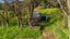 113 Puhata Road, Herekino, Kaitaia - Carousel 19