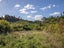 756A Rutherglen Road, Marsden, Greymouth - Carousel 7