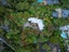 232B Atkinson Road, Titirangi, Auckland - Carousel 24