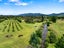30B Thompsons Track, Aongatete, Aongatete - Carousel 5