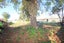 142A Scott Street, Redwoodtown, Blenheim - Carousel 3